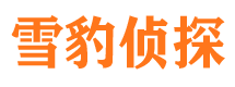 贵定市私人侦探